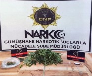 Gümüshane'de Uyusturucu Ticaretine Darbe Açiklamasi 12 Süpheli Yakalandi