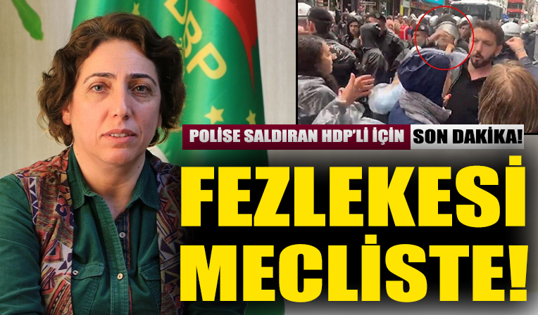 Polise yumruk atan DBP'li Aydeniz'in fezlekesi TBMM Başkanlığı'nda!