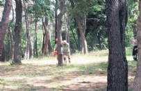 İBB'nin ağaç kıyımını görüntülendi! Çırağan'dan sonra şimdi de Emirgan...