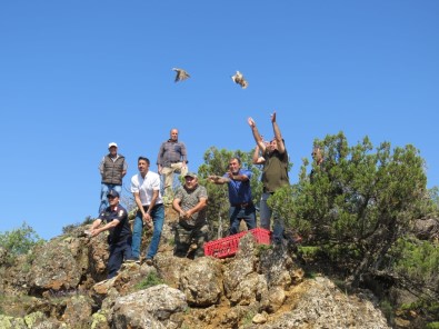 Mihaliççik'ta 750 Kinali Keklik Dogaya Salindi