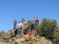 Mihaliççik'ta 750 Kinali Keklik Dogaya Salindi