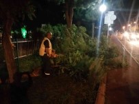 Aydin'da Firtina Kabusu, Büyüksehir Ekipleri Bu Defa Firtina Ile Yaristi