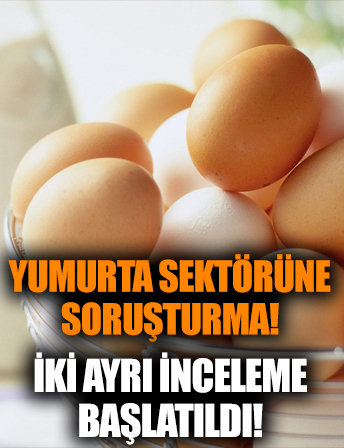 Yumurta sektörüne soruşturma! Rekabet Kurumu iki ayrı soruşturma başlattı!
