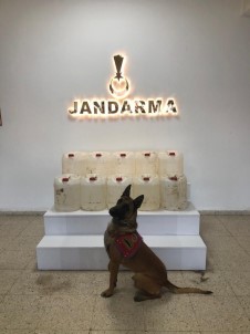 Van'da 325 Litre Asitanhidrit Ele Geçirildi