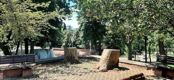 İBB'nin tebligat yalanı tutmadı! 54 ağacı katleden İBB'ye tepki: İstanbul'un ağacına yeşiline savaş açıldı