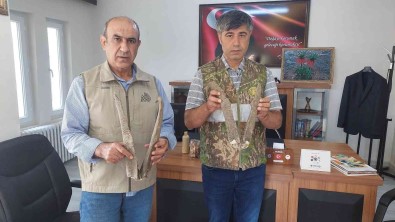 Adiyaman'da Ele Geçirilen Keçi Boynuzuna 513 Bin TL Ceza