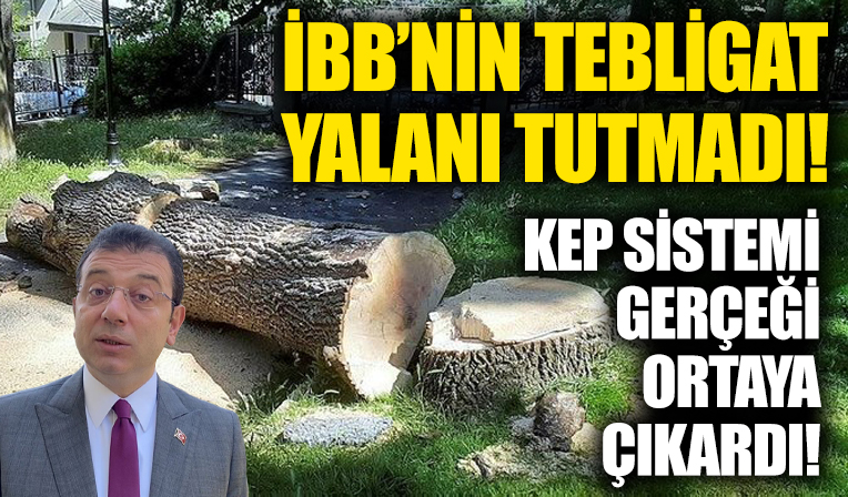 İBB'nin tebligat yalanı tutmadı! 54 ağacı katleden İBB'ye tepki: İstanbul'un ağacına yeşiline savaş açıldı