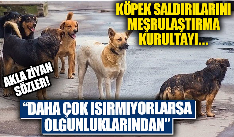 İstanbul Barosu'ndan skandal açıklama!