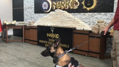 Istanbul'da Uyusturucu Operasyonlari Açiklamasi 176 Kilo Uyusturucu Ele Geçirildi