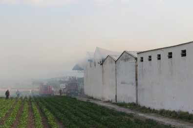 Manisa'da Saman Ve Bugday Deposunda Yangin Çikti