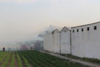 Manisa'da Saman Ve Bugday Deposunda Yangin Çikti