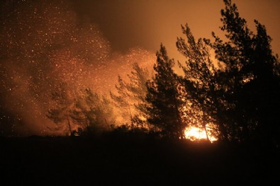 Marmaris'te orman yangını! Bakanlar bölgede!