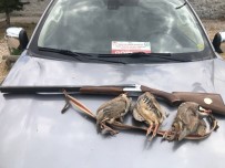 Tunceli'de Kaçak Avciya Ceza