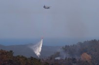 AFAD Marmaris'teki Yanginda Son Durumu Açikladi