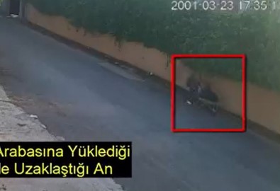 El Arabali Hirsizlar Yakalandi
