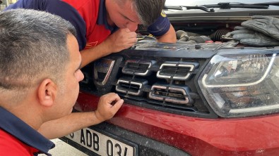 Yaramaz Kedinin Yolculugu 150 Kilometre Sonra Sona Erdi