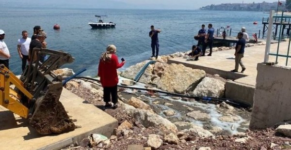 Marmara Denizi'nde beyaz tehlike!