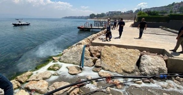 Marmara Denizi'nde beyaz tehlike!