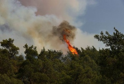 Bakan Kirişçi duyurdu! Marmaris'te 4 bin 500 hektar alan zarar gördü