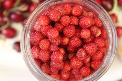 Daglarda Toplaniyor, Kilogrami 50 TL'ye Satiliyor