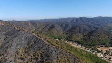 Marmaris'te Yanan Yerler Havadan Görüntülendi