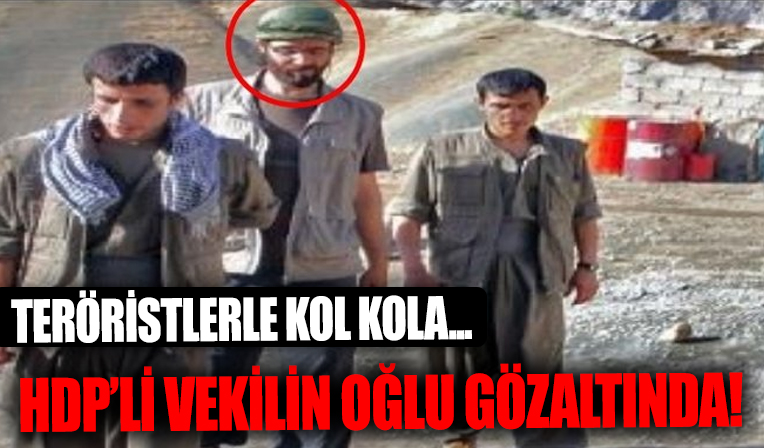 HDP İstanbul Milletvekili Hüda Kaya'nın oğlu Muhammed Cihad Cemre gözaltında!