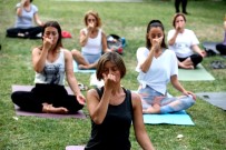 Yoga Tutkunlari Nilüfer'de Bulustu