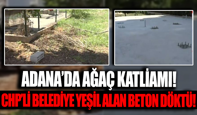 Adana’da ağaç katliamı: CHP’li Seyhan Belediyesi yeşil alana beton döktü!