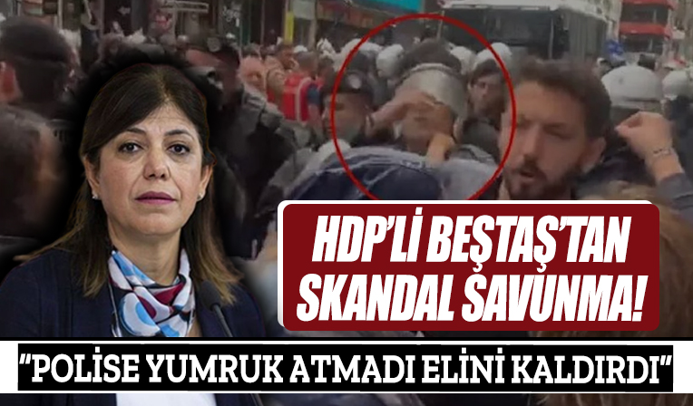 HDP'li Meral Danış Beştaş polise saldıran DBP'li Salihe Aydeniz'i böyle savundu: Yumruk atmadı elini kaldırdı