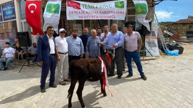 Köy Agalari Hayir Için Kiran Kirana Yaristi