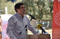 Milas'ta Üreticiye Makine -Ekipman Dagitildi