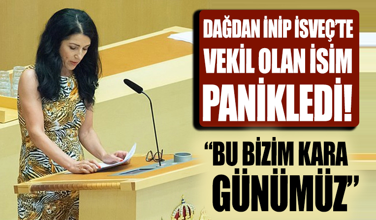 Amineh Kakabaveh, Türkiye ile anlaşan İsveç'e tepki gösterdi