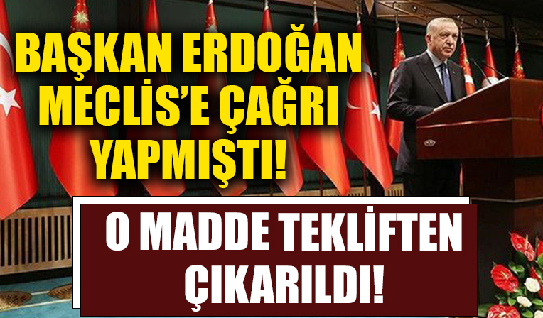 Başkan Erdoğan, Meclis'e çağrı yapmıştı! O madde tekliften çıkarıldı!