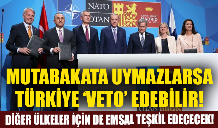 Diğer ülkeler için de emsal teşkil edecek! Mutabakata uymazlarsa Türkiye 'veto' edebilir!