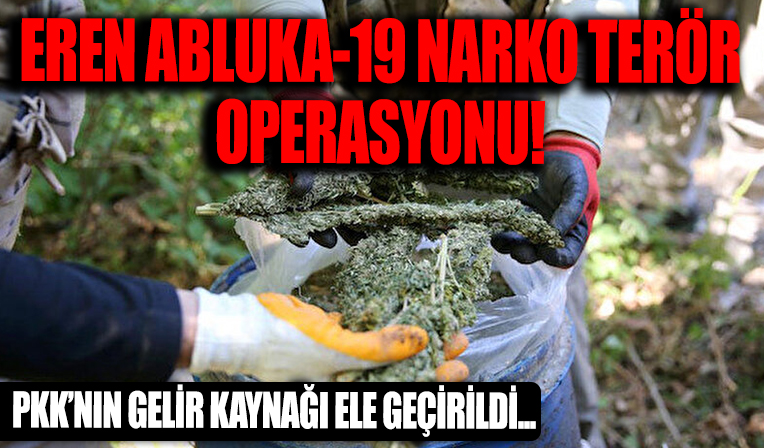 Diyarbakır'da 'Eren Abluka-19 Narko Terör' operasyonu: 6 milyon 377 bin kök kenevir ele geçirildi