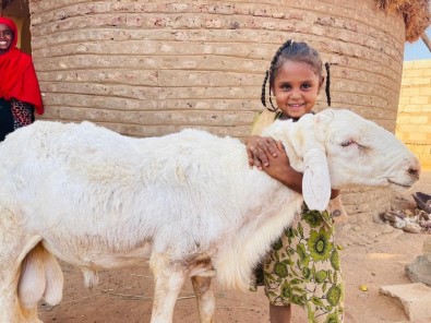 2022 Yili Kurban Vekalet Ücretleri Belli Oldu