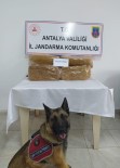 Otobüs Bagajinda 50 Kilo Kaçak Tütün Ele Geçirildi