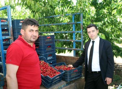 Çamlibel Elektrik Üreticilerin Yaninda