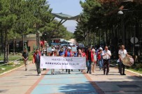 Elazig'da 30 Haziran Koruyucu Aile Günü Yürüyüsü Düzenlendi Haberi
