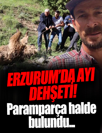 Erzurum’da ayı dehşeti! Çobanın parçalanmış cesedi bulundu