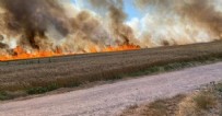 İstanbul - Tekirdağ sınırında korkutan yangın: 500 dönüm buğday 15 dakikada küle döndü