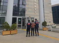 Elazig'da Hirsizlik Suçundan Aranan Süpheli Jandarma Ekipleri Tarafindan Yakalandi