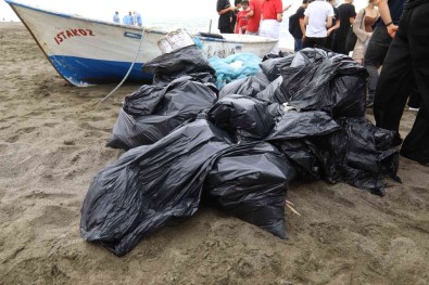 Hatay Büyüksehir Ekipleri ,Kaplumbaga Yuvalarini Temizledi