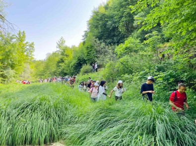 Körfez'de Temiz Çevre Yürüyüsü