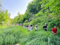 Körfez'de Temiz Çevre Yürüyüsü