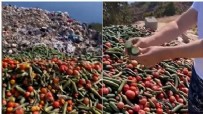 Çöpe atılan sebzeleri görüntüleyen vatandaştan isyan!