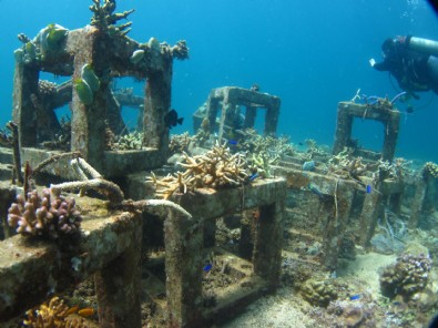 3D yazıcı ile üretilmişti: Yapay resiflerde canlı yaşam başladı