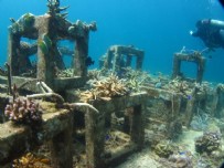 3D yazıcı ile üretilmişti: Yapay resiflerde canlı yaşam başladı