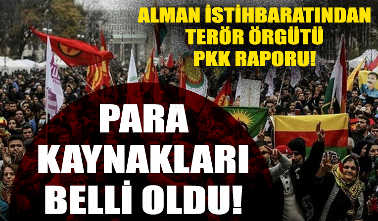 Alman istihbaratından terör örgütü PKK raporu!