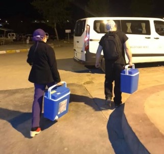 Beyin Ölümü Gerçeklesen Yaralinin Organlari 3 Hastaya Umut Oldu